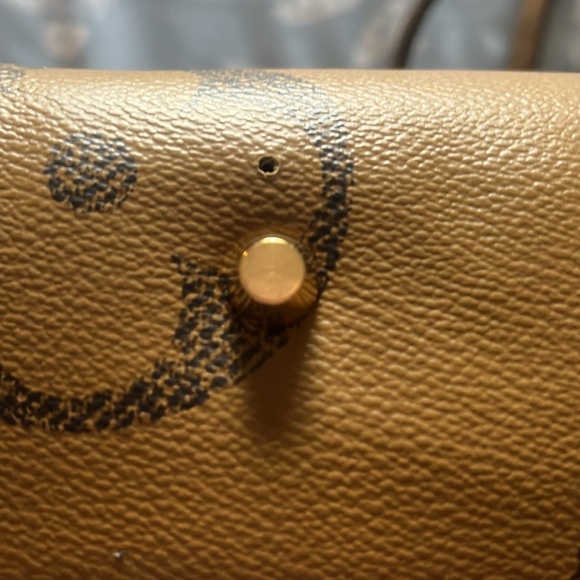 Designer Inspired Coated Canvas Tote Bag - Picture 6 of 10